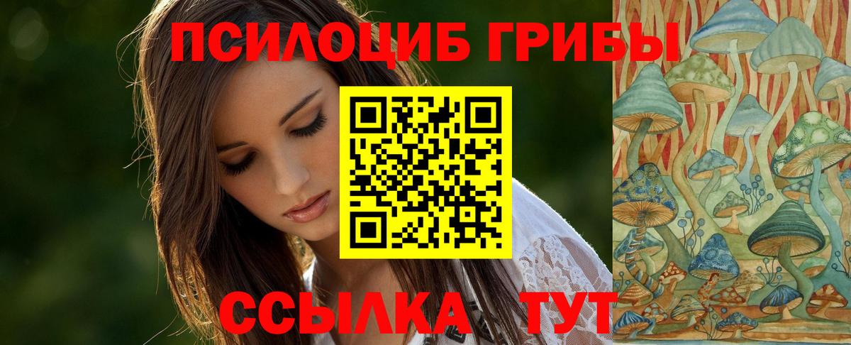 Улан-Удэ  что такое   Вход с VPN  Галлюциногенные грибы прущие грибы 